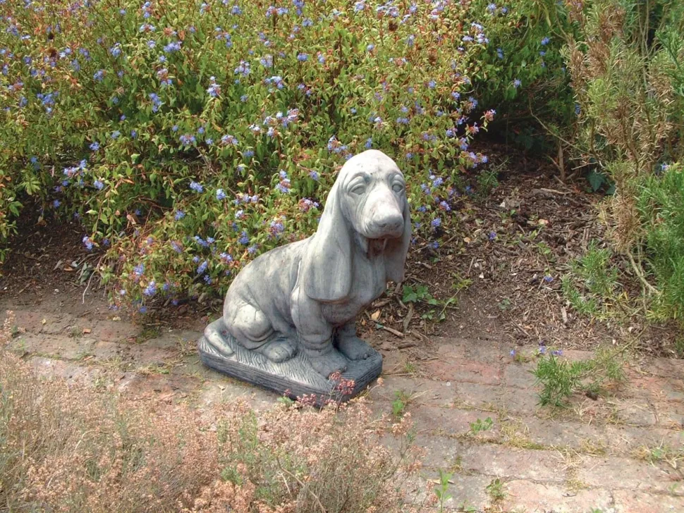 Basset Hound Stone Garden Ornament