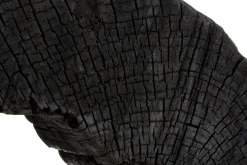 Carbon Halo 53cm Black Wood Indoor Sculpture