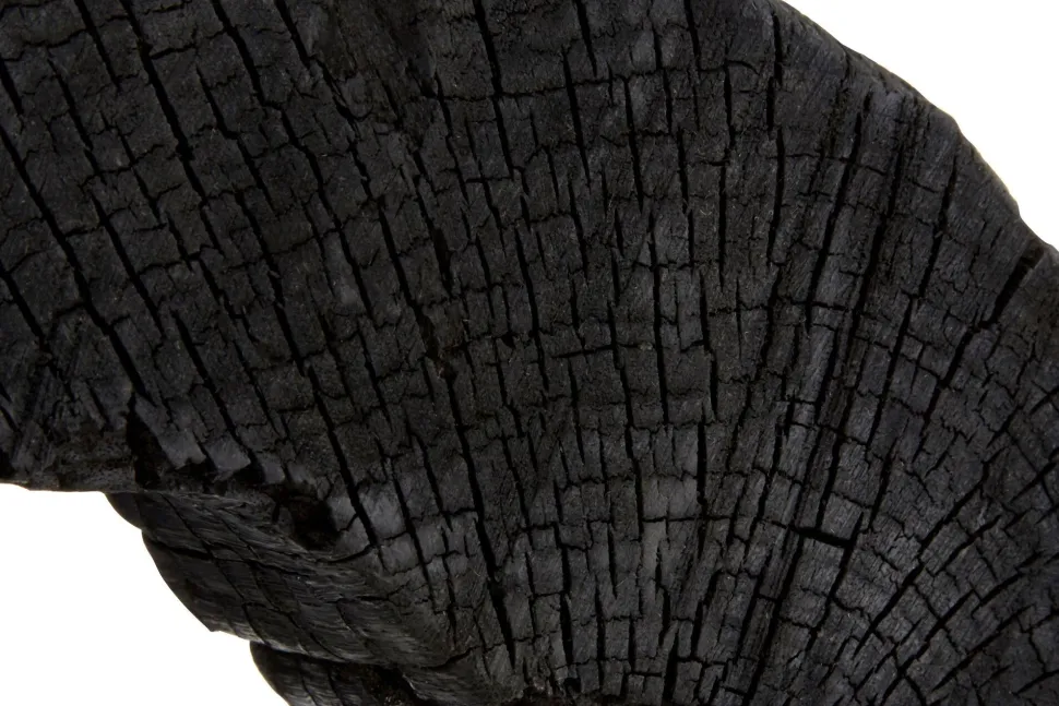 Carbon Halo 53cm Black Wood Indoor Sculpture