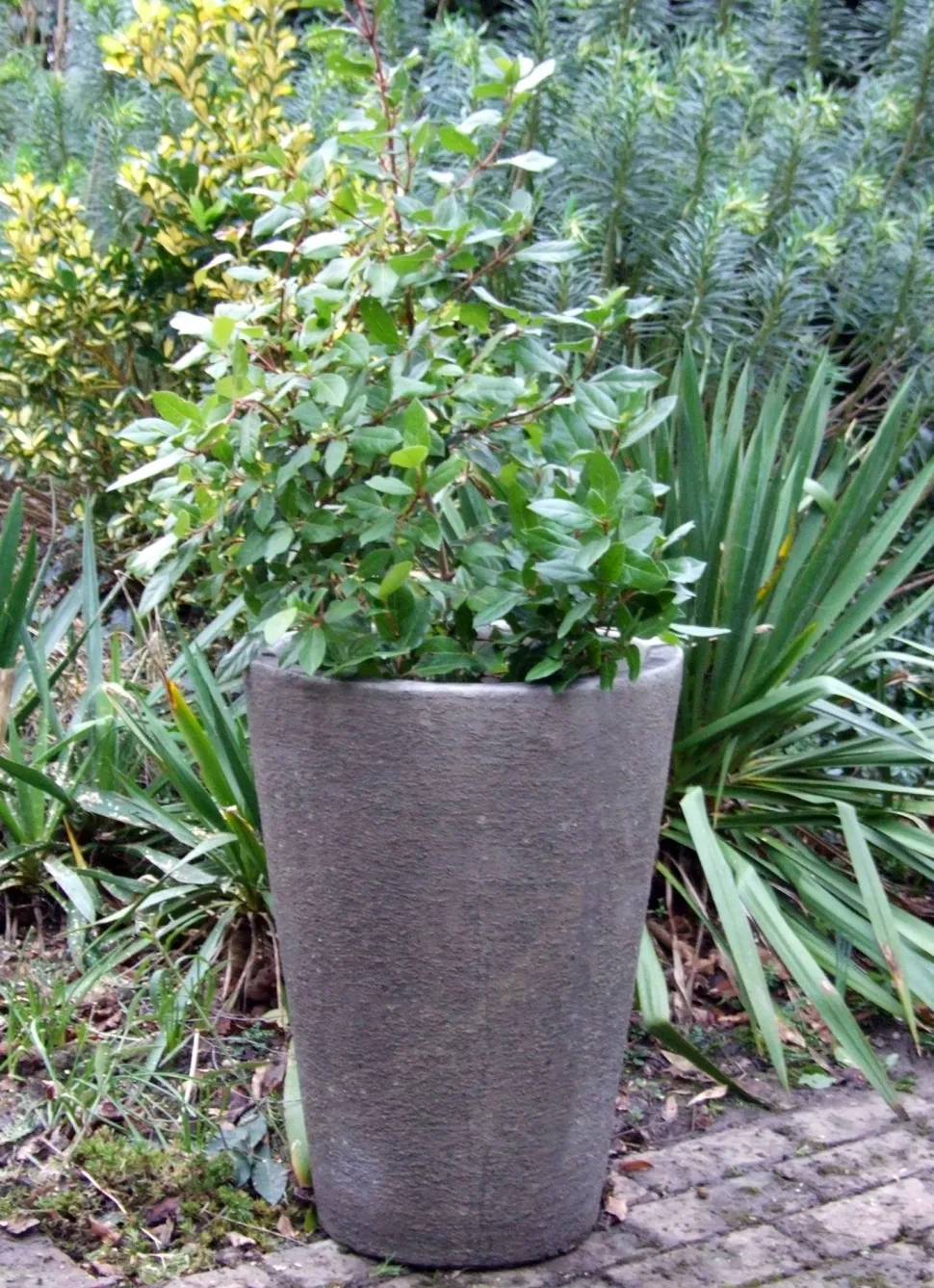 Grand Long Tom Vase Stone Garden Planter
