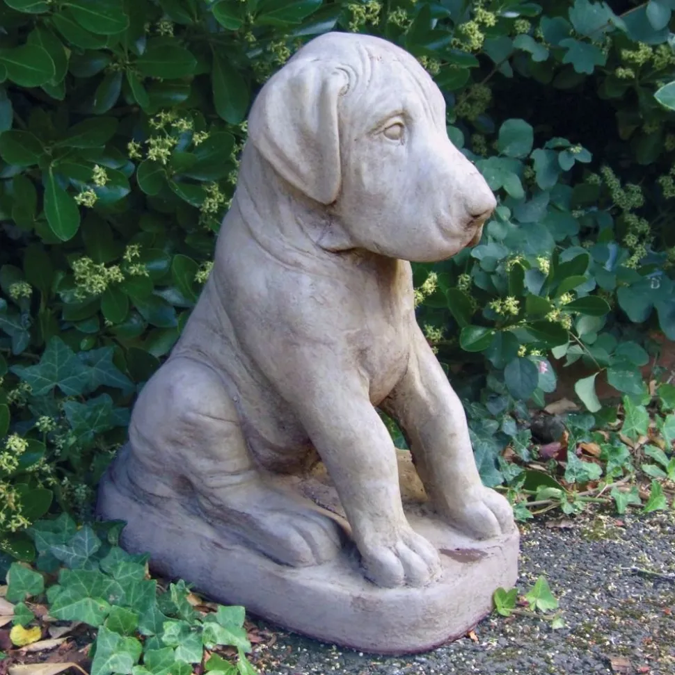 Great Dane Puppy Stone Garden Ornament