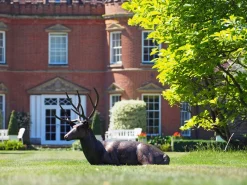 Laying Deer Stag Bronze Metal Garden Statue